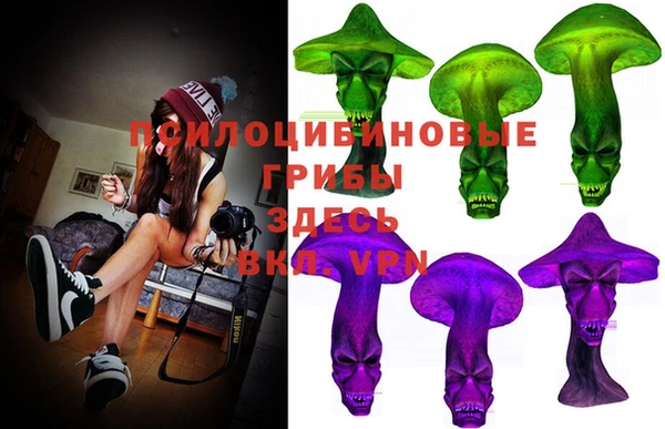 дмт Киреевск