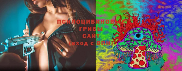 ешки Кодинск