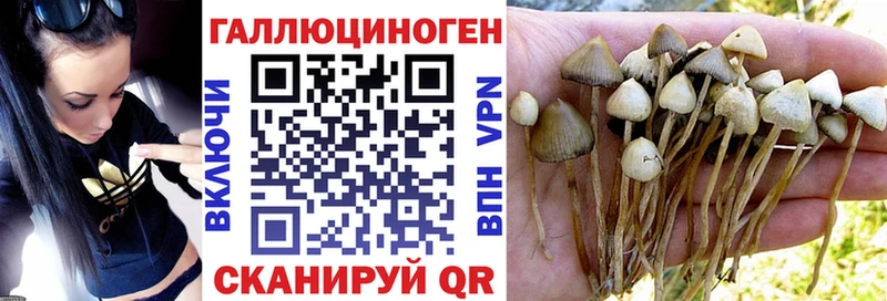 Галлюциногенные грибы MAGIC MUSHROOMS  Болохово 